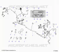 ELECTRICAL, WIRE HARNESS