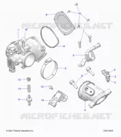 ENGINE, THROTTLE BODY AND FUEL RAIL