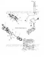 THROTTLE  BODY AND INJECTOR