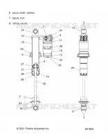 SHOCK, IFS
