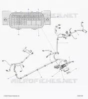 ELECTRICAL, WIRE HARNESS