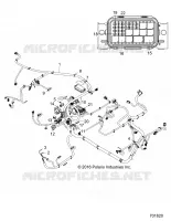 WIRE HARNESS