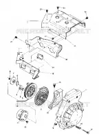 RECOIL STARTER AND BLOWER HOUSING (4909550955019A)