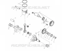 PISTON   CRANKSHAFT