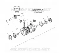 PISTON   CRANKSHAFT (600)