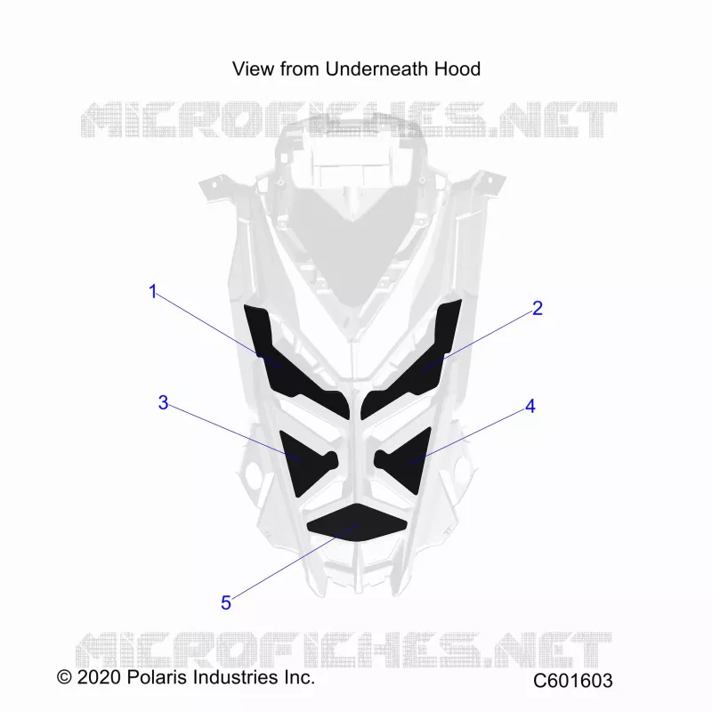 HOOD FOAM/SEAL