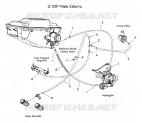 HOSES