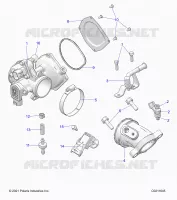 ENGINE, THROTTLE BODY AND FUEL RAIL