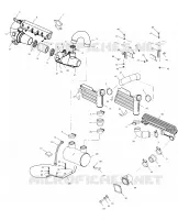 EXHAUST SYSTEM