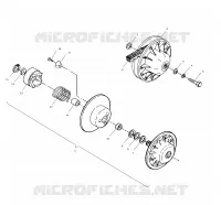 DRIVEN CLUTCH