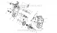 CHAINCASE (REVERSE MODELS)