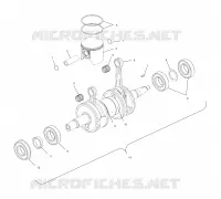 PISTON   CRANKSHAFT (700)