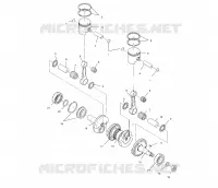 PISTON   CRANKSHAFT