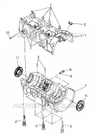 CRANKCASE  440 XCR (4921352135035A)
