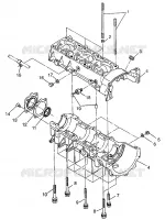CRANKCASE RXL 0976768 (4938523852C007)