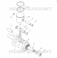 PISTON AND CRANKSHAFT STAR (4915431543024A)