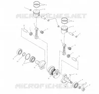 PISTON   CRANKSHAFT