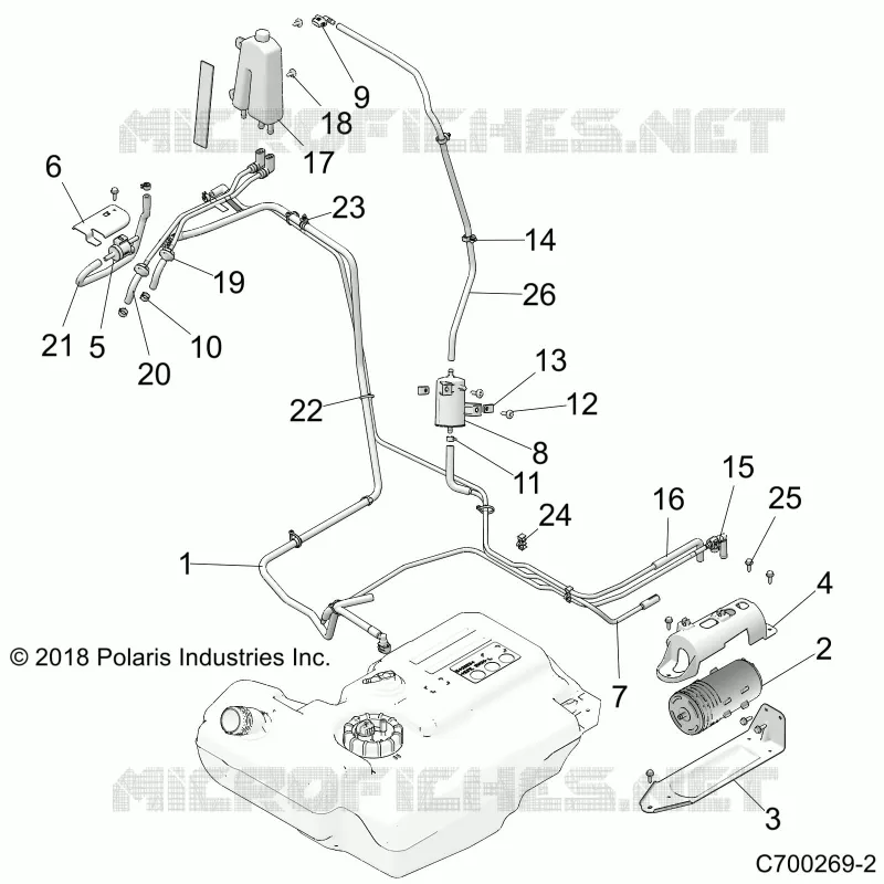 BODY, FUEL LINES, EVAP