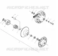DRIVEN CLUTCH