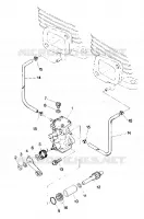 OIL PUMP SPORT (4914161416035A)