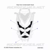 HOOD FOAM/SEAL