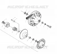 DRIVEN CLUTCH