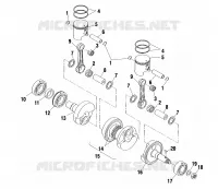 PISTON   CRANKSHAFT