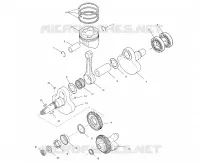 CRANKSHAFT AND PISTON