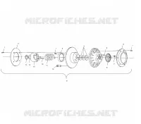 DRIVEN CLUTCH