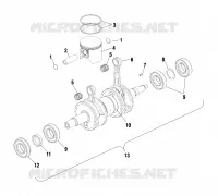 PISTON   CRANKSHAFT