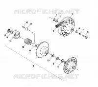 DRIVEN CLUTCH
