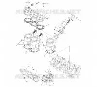 CYLINDER, HEAD   EXHAUST VALVES