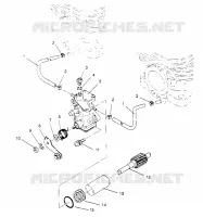 OIL PUMP ASSEMBLY SUPER SPORT 0950743 (4928882888C010)