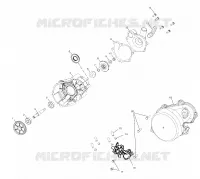 WATER PUMP/OIL PUMP (800)