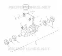 PISTON   CRANKSHAFT (700)