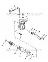 OIL PUMP ASSEMBLY TRAIL BLAZER W937221 (4924082408033A)