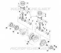 PISTON   CRANKSHAFT