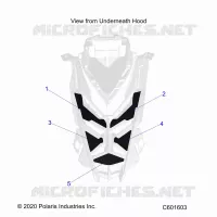 HOOD FOAM/SEAL