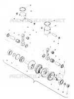 PISTON AND CRANKSHAFT (TRAIL) (4909500950033A)