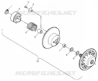 DRIVEN CLUTCH
