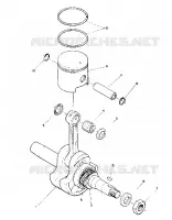 PISTON AND CRANKSHAFT (STAR) (4910951095022A)