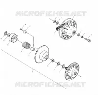 DRIVEN CLUTCH