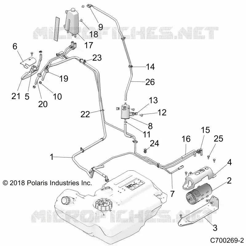 BODY, FUEL LINES, EVAP