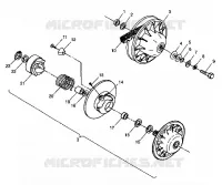 DRIVEN CLUTCH