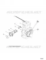 ENGINE, THROTTLE BODY AND FUEL RAIL