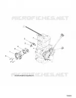 ENGINE, THROTTLE BODY AND FUEL RAIL