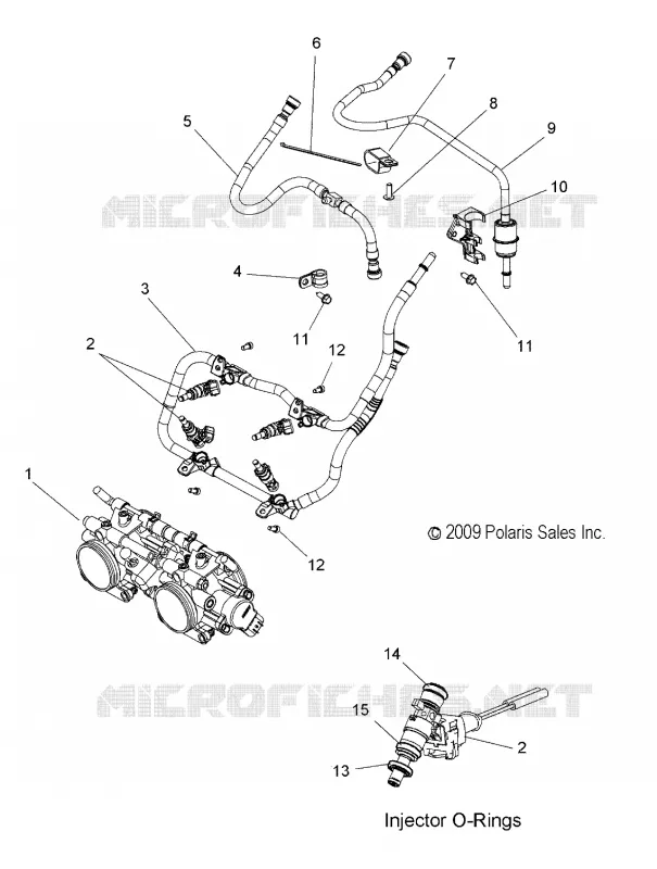 FUEL SYSTEM, RAIL, LINES AND THROTTLE  BODY