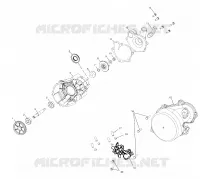 WATER PUMP/OIL PUMP (800)