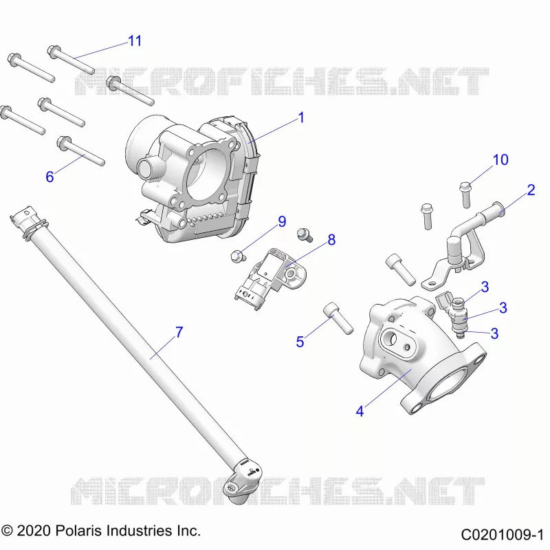 ENGINE, THROTTLE BODY AND FUEL RAIL