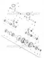 PISTON AND CRANKSHAFT (TRAIL) (4909500950033A)